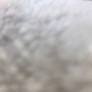 Meet your Posher, Molly